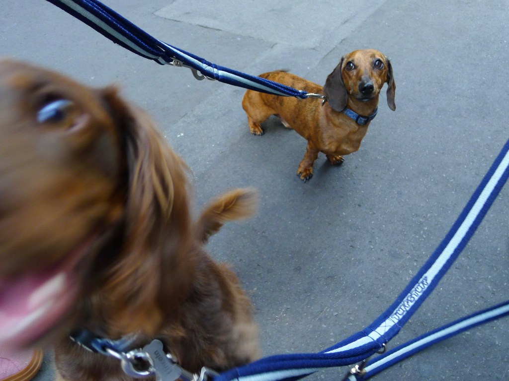 This image has an empty alt attribute; its file name is p1080637.jpg
